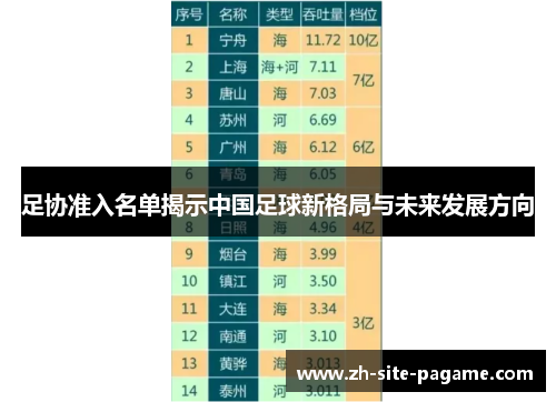足协准入名单揭示中国足球新格局与未来发展方向