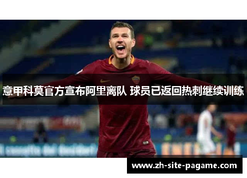 意甲科莫官方宣布阿里离队 球员已返回热刺继续训练
